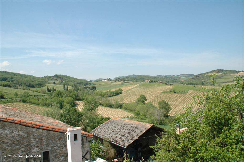 Vineyard Room View
